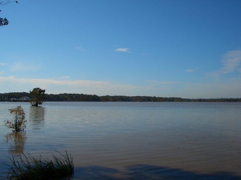 Breaux Bridge fishing photo 1