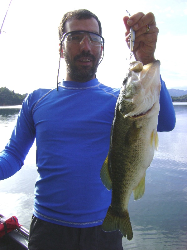 Black Bass