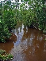 Abita River