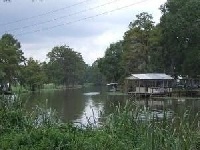 Amite River