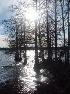 Vernon Lake